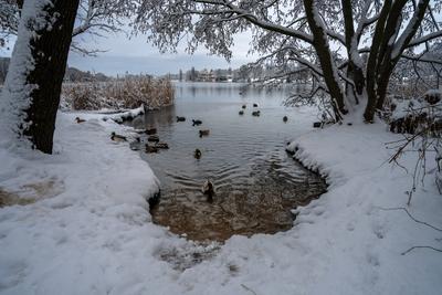 Kunst Kultur Natur Denkmalpflege-stock-foto