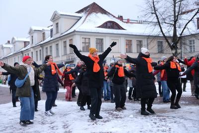 One Billion Rising in Potsdam-stock-foto