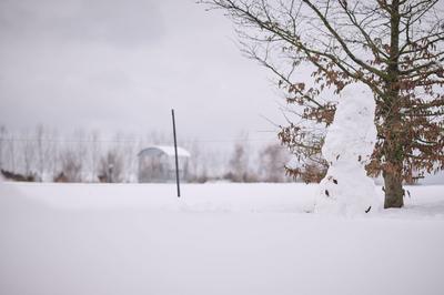 Berlin, Schneewetter-stock-foto