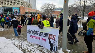 Fridays for Future-stock-foto
