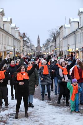 One Billion Rising in Potsdam-stock-foto