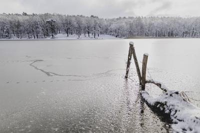 Winter in Berlin-stock-foto