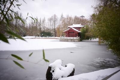 Berlin, Schneewetter-stock-foto