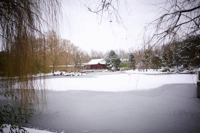 Berlin, Schneewetter-stock-foto