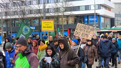 Fridays for Future-stock-foto