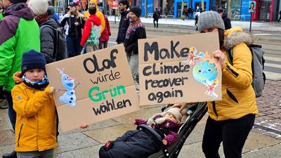 Fridays for Future-stock-foto