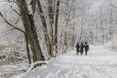 Winter in Berlin-stock-foto