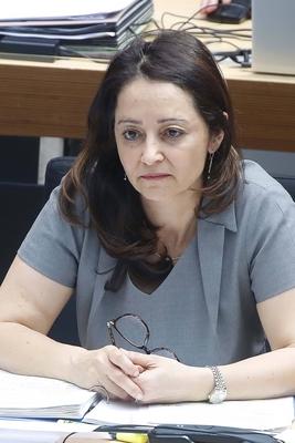 Plenarsitzung Berliner Abgeordnetenhaus-stock-foto
