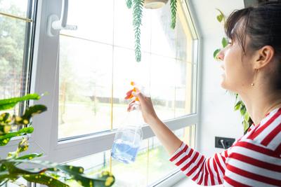 Frau w?scht manuell das Fenster des Hauses mit Lappen Reiniger und Wischmopp im Inneren mit Heimpflanzen auf Fensterbank mit Dachboden. Wiederherstellung der Ordnung und Sauberkeit im Fr?hjahr, Reinigungsservice-stock-photo