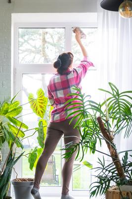 Frau w?scht manuell das Fenster des Hauses mit Lappen Reiniger und Wischmopp in den Innenraum mit wei?en Vorh?ngen und Heimpflanzen. Wiederherstellung der Ordnung und Sauberkeit im Fr?hjahr, Reinigungsservice-stock-photo
