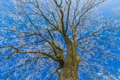 Winterwetter in Brandenburg-stock-foto
