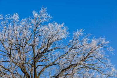 Winterwetter in Brandenburg-stock-foto