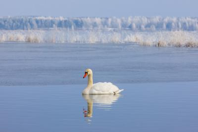 Winterwetter in Brandenburg-stock-foto