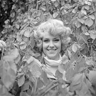 Rosemarie Ambe-stock-photo