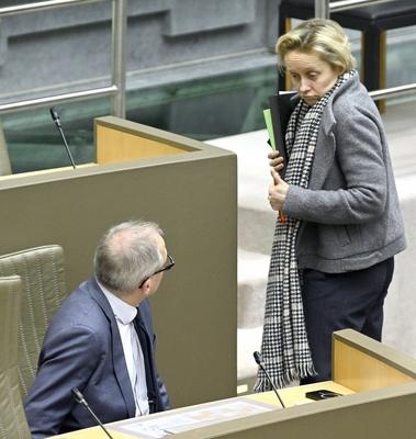 Plenary Session Flemish Parliament 19/02/2025-stock-foto