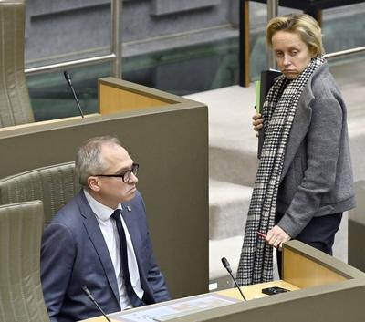 Plenary Session Flemish Parliament 19/02/2025-stock-foto