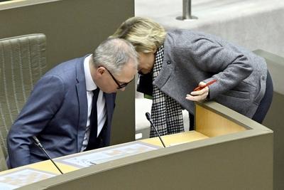 Plenary Session Flemish Parliament 19/02/2025-stock-foto