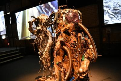 Afrika Ausstellung-stock-foto