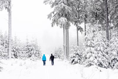 Schnee im Taunus Nach Schneef?llen in der vergangenen Nacht zeigt sich die Landschaft am Gro?en Feldberg im Taunus winte-stock-foto