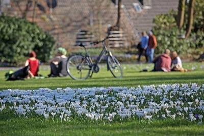 Ein wunderschoener Fruehlingstag Tag bei angenehmen Temperaturen und Traumwetter lockt die Menschen-stock-foto