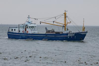 Impressionen der Nordseeinsel Sylt im Winter 2025, ,-stock-foto