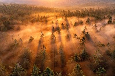 Creative Highlights World Sonnenaufgang im Taunus Die aufgehende Sonne scheint am Morgen durch Nebelschwaden im Wald am-stock-photo
