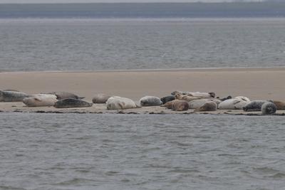Impressionen der Nordseeinsel Sylt im Winter 2025, ,-stock-foto