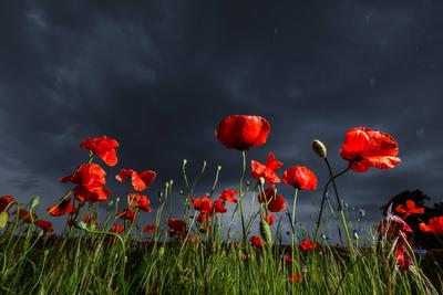 News Themen der Woche KW22 News Bilder des Tages Regenwetter und Unwettergefahr DEU/Deutschland/Brandenburg/Leuthen, 30.-stock-foto