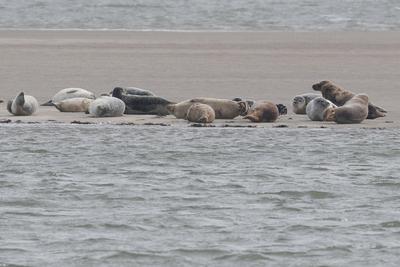 Impressionen der Nordseeinsel Sylt im Winter 2025, ,-stock-foto