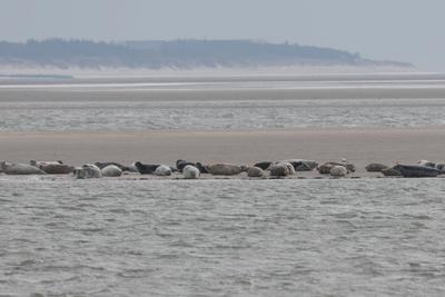 Impressionen der Nordseeinsel Sylt im Winter 2025, ,-stock-foto