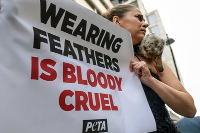 PETA Pluck 'Ostrich' Outside London Fashion Week-stock-foto