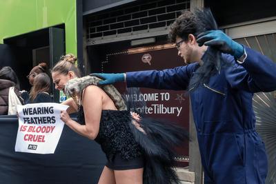 PETA Pluck 'Ostrich' Outside London Fashion Week-stock-foto