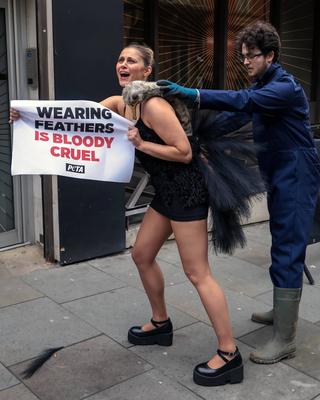 PETA Pluck 'Ostrich' Outside London Fashion Week-stock-foto