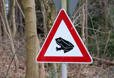 25.02.2024, Deutschland, NRW, Amphibien, Kr?ten, Fr?sche, Kr?ten-Warnschild f?r Autofahrer an einer Stra?e in einem Wald-stock-foto