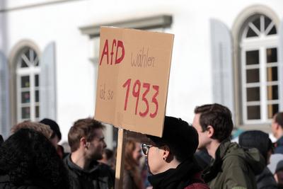 In Einsiedeln, dem Schweizer Wohnort der deutschen Kanzlerkandidatin der Alternative f?r Deutschland (AfD), fand am 22. Februar 2025 eine Demonstration gegen die AfD und Weidel statt.-stock-foto