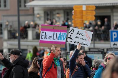 In Einsiedeln, dem Schweizer Wohnort der deutschen Kanzlerkandidatin der Alternative f?r Deutschland (AfD), fand am 22. Februar 2025 eine Demonstration gegen die AfD und Weidel statt.-stock-foto