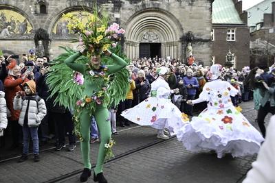 Bremen, 40. Bremer Karneval-stock-foto