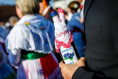 Wendische Fastnacht im Spreewald-stock-foto