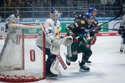1. DEL - 2024/2025 - Sp.48 - Augsburger Panther vs. EHC Red Bull M?nchen-stock-photo