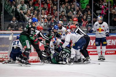 GER, Augsburger Panther vs. EHC Red Bull Muenchen, Eishockey, DEL, 48. Spieltag, Saison 2024/2025, 23.02.2025.-stock-foto