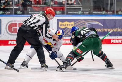 GER, Augsburger Panther vs. EHC Red Bull Muenchen, Eishockey, DEL, 48. Spieltag, Saison 2024/2025, 23.02.2025.-stock-foto