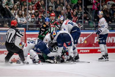 GER, Augsburger Panther vs. EHC Red Bull Muenchen, Eishockey, DEL, 48. Spieltag, Saison 2024/2025, 23.02.2025.-stock-foto