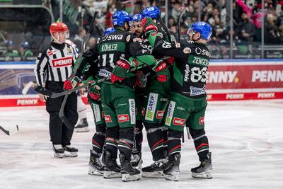 GER, Augsburger Panther vs. EHC Red Bull Muenchen, Eishockey, DEL, 48. Spieltag, Saison 2024/2025, 23.02.2025.-stock-foto