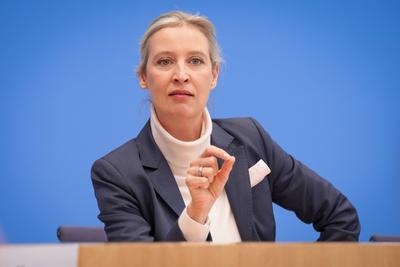 Pressekonferenz der AfD-stock-foto