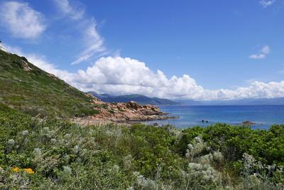 Holidays in southern Corsica. Holidays in southern Corsica. Discovery of the Sanguinaires Islands, next to the city of A-stock-foto