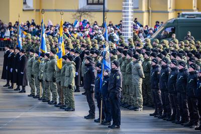 Celebrating Estonian Independence Day-stock-photo