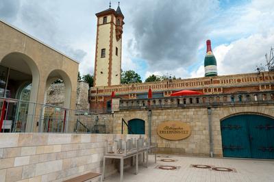 Wirtschaft Tourismus Weinbau Entertaiment 08.08.2023 Freyburg / Unstrut Sachsen Anhalt Rotk?ppchen - Mumm Sektkellereien-stock-foto