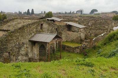 News - Pompeii, House of Thiassus-stock-photo