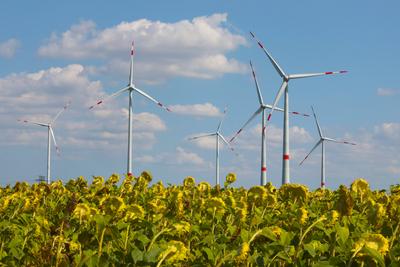 Blick am Montag (26.08.2024) unweit von Eugenienberg (Landkreis Mecklenburgische Seenplatte) auf Windr?der hinter einem-stock-foto