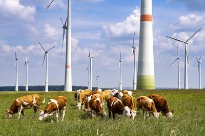 Viehweide ?stlich von Lichtenau, Windpark, NRW, Deutschland, Windpark Viehweide *** Viehweide east of Lichtenau, wind fa-stock-foto